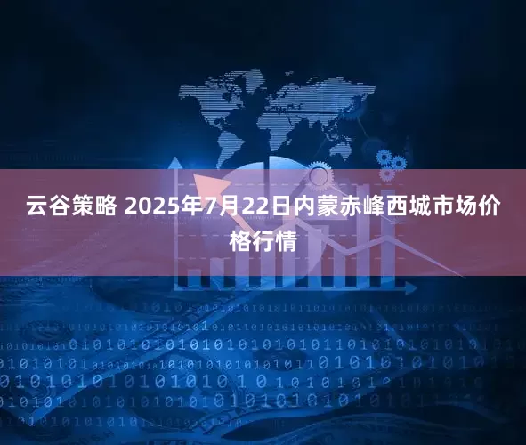 云谷策略 2025年7月22日内蒙赤峰西城市场价格行情