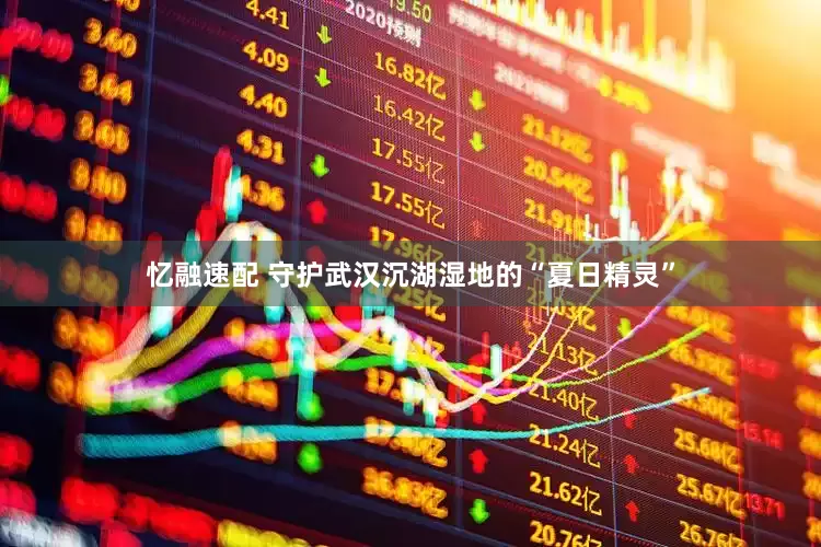 忆融速配 守护武汉沉湖湿地的“夏日精灵”