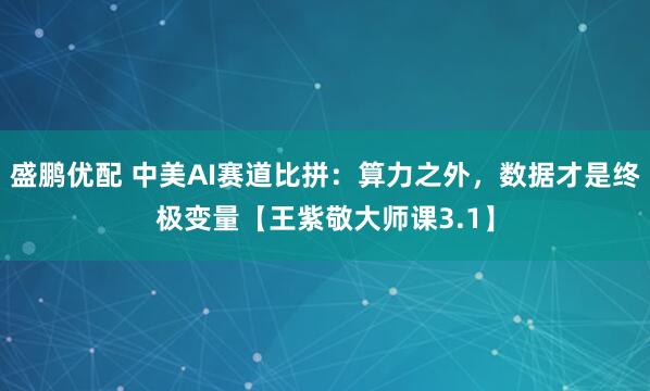 盛鹏优配 中美AI赛道比拼:算力之外,数据才是终极变量【王紫敬大师课3.1】