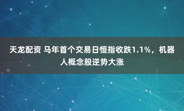 天龙配资 马年首个交易日恒指收跌1.1%,机器人概念股逆势大涨